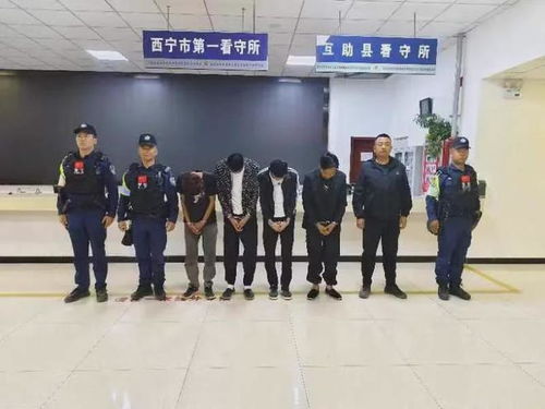 青海多名群众家中牲畜频频消失，警方调查发现惊人的犯罪链条